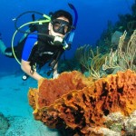 Scuba diving at The Wall in La Parguera